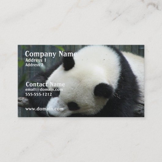 Carte de visite d'ours panda (Devant)