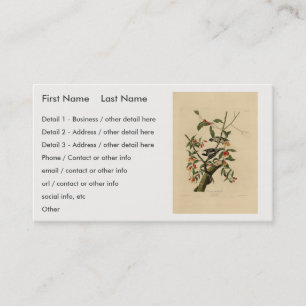 Carte De Visite Downy Woodpecker - de Audubon's Birds of America