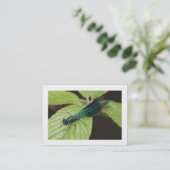 Carte De Visite Dragonfly (Bordé) (Debout devant)