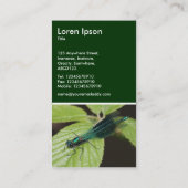 Carte De Visite Dragonfly - Vert foncé (Dos)
