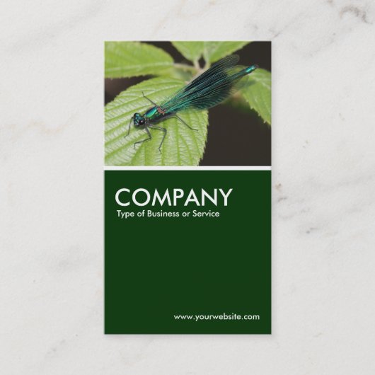 Carte De Visite Dragonfly - Vert foncé (Devant)