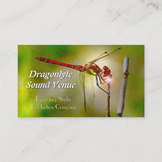 Carte De Visite Dragonlyte Cool Professionnel (Devant)