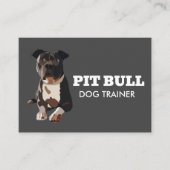 Carte De Visite Dresseur de Pitbull (Devant)