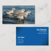 Carte De Visite Drôle mignon 4 Sanderlings Sandpipers à la plage (Devant / Derrière)