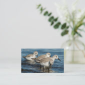 Carte De Visite Drôle mignon 4 Sanderlings Sandpipers à la plage (Debout devant)