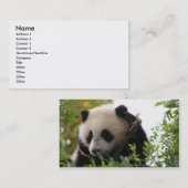 Carte de visite drôle mignon de panda (Devant / Derrière)