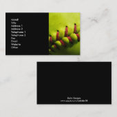 Carte de visite du base-ball de Fastpitch (Devant / Derrière)