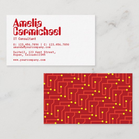 CARTE DE VISITE du consultant informatique (Devant / Derrière)