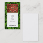 Carte de visite du marché d'agriculteurs (Devant / Derrière)