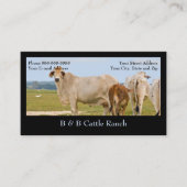 Carte de visite du ranch de la ferme des bovins (Devant)