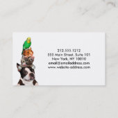 Carte de visite du service de pose pour animaux (Dos)