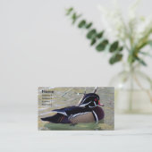 Carte De Visite Duck de bois Drake (Debout devant)