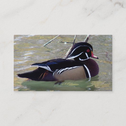 Carte De Visite Duck Drake (Dos)
