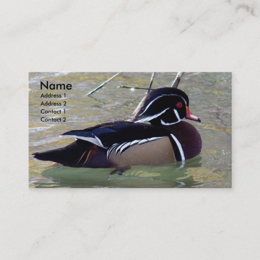 Carte De Visite Duck Drake (Devant)