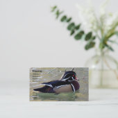 Carte De Visite Duck Drake (Debout devant)
