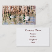 CARTE DE VISITE DUCKS SAUVAGES (Devant / Derrière)
