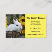 Carte De Visite Dwarf Hotot Bunny Rabbit Breeder (Devant)