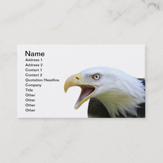Carte De Visite Eagle chauve américain (Devant)
