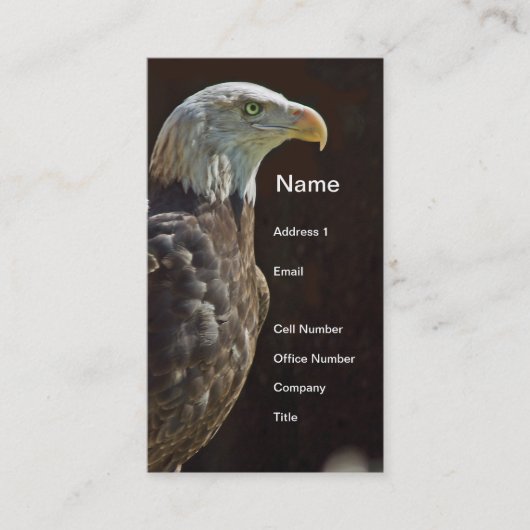 Carte De Visite Eagle chauve américain (Devant)