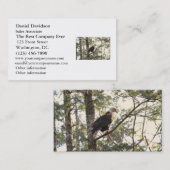 Carte De Visite Eagle chauve dans un arbre (Devant / Derrière)