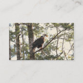 Carte De Visite Eagle chauve dans un arbre (Dos)