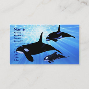 CARTE DE VISITE ECHO LÉGER