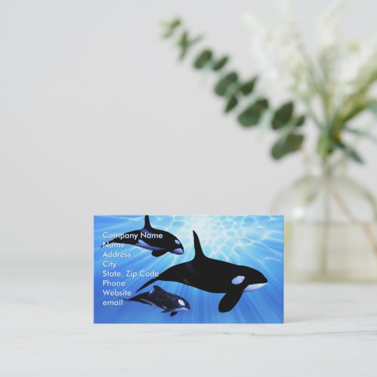 Carte De Visite Echo lumière (Debout devant)