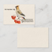 Carte De Visite Écirage d'oiseaux de la forêt d'aquarelle (Devant / Derrière)