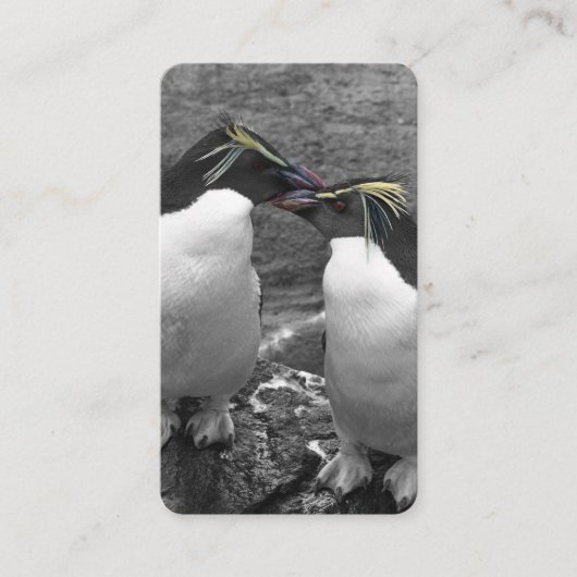 Carte De Visite Éclaboussure de couleur de pingouin (Devant)