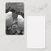 Carte De Visite Éclaboussure de couleur de pingouin (Devant / Derrière)