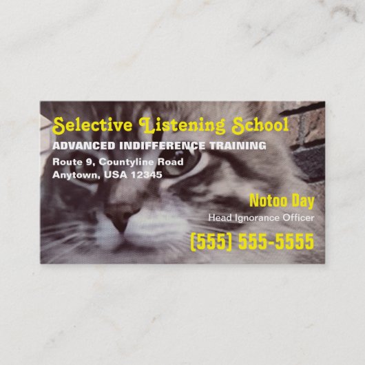 Carte De Visite École d'écoute sélective de chat drôle (Devant)