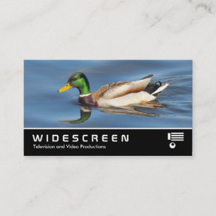 Carte De Visite Écran large 0441 - Mallard Duck