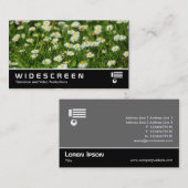 Carte De Visite Écran large 0474 - Maisies (Devant / Derrière)