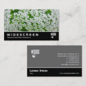 Carte De Visite Écran large 210 - Persil de vache (Devant / Derrière)