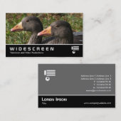 Carte De Visite Écran large 354 - Oies grises (Devant / Derrière)