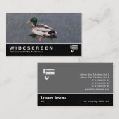 Carte De Visite Écran large 390 - Mallard Duck (Devant / Derrière)