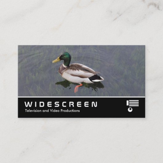 Carte De Visite Écran large 390 - Mallard Duck (Devant)