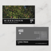 Carte De Visite Écran large 394 - Camellia Bush (Devant / Derrière)