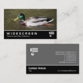Carte De Visite Écran large 401 - Mallard Duck (Devant / Derrière)