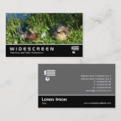 Carte De Visite Écran large 407 - M. et Mme Mallard (Devant / Derrière)