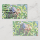 Carte De Visite Écrevisses de Crawdads d'écrevisses (Devant / Derrière)