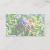 Carte De Visite Écrevisses de Crawdads d'écrevisses (Dos)