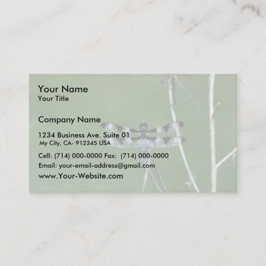 Carte De Visite Écumoire de Douze-Tache (Devant)