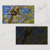 Carte De Visite Écureuil (Devant / Derrière)