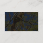 Carte De Visite Écureuil (Dos)