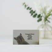 Carte De Visite Écureuil (Debout devant)