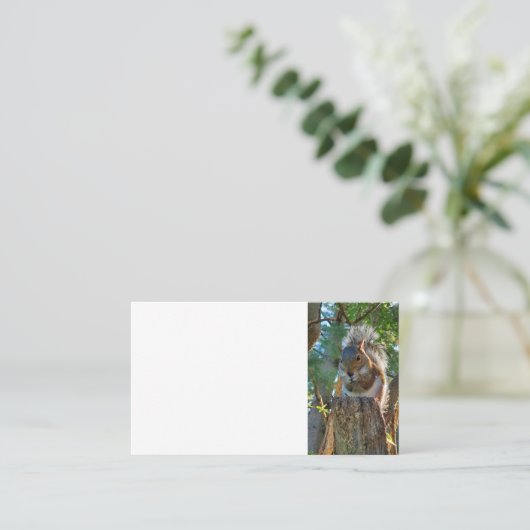 Carte De Visite Écureuil (Debout devant)
