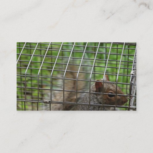 Carte De Visite Écureuil dans un piège (Dos)