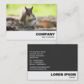 Carte De Visite Écureuil gris (Devant / Derrière)