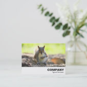 Carte De Visite Écureuil gris (Debout devant)